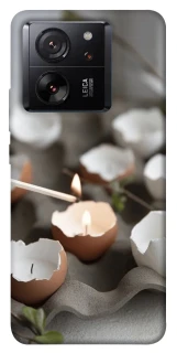 Чехол на Xiaomi 13T Pro Eggcellent фото 1 из 1