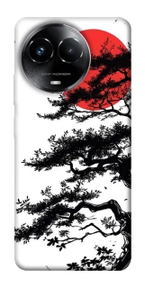 Чохол на Realme C67 4G Дух Японії v2 фото 1 з 1