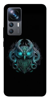 Чохол на Xiaomi 12T / 12T Pro Fantastic owl фото 1 з 1