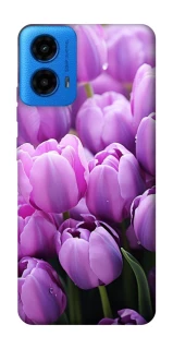 Чехол на Motorola Moto G45 Фиолетовые тюльпаны фото 1 из 1