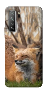 Чехол на Huawei Nova 7 SE Лиса фото 1 из 1