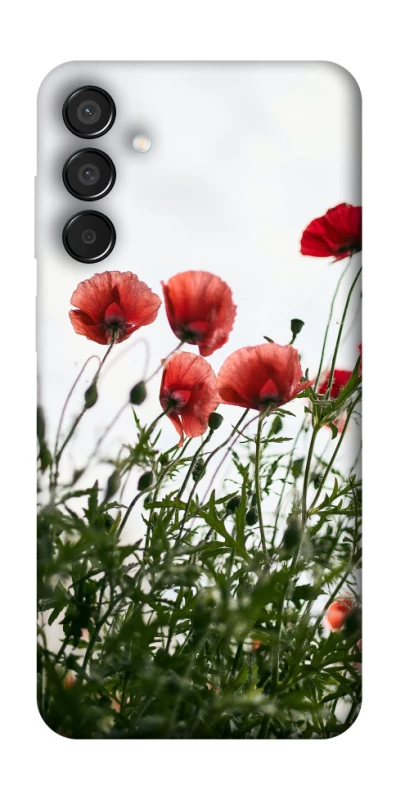 Чохол на Samsung Galaxy M15 5G Поле маків фото 1 з 1