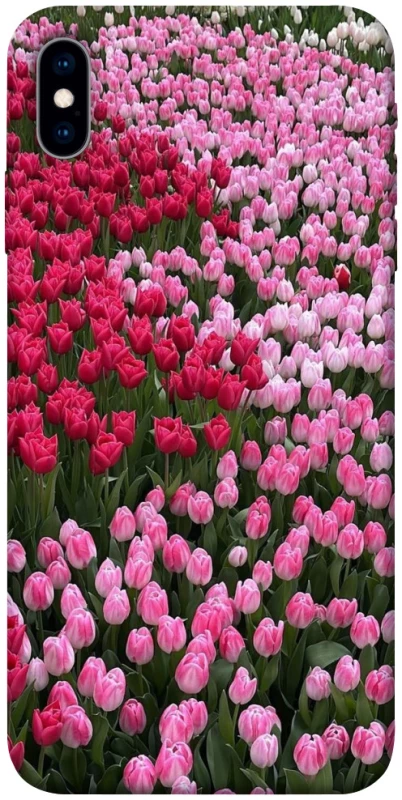 Чохол на Apple iPhone X (5.8") Flowers v9 фото 1 з 1