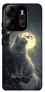 Чехол на Tecno Spark Go 2023 Кот под луной фото 1 из 1