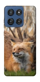 Чехол на Motorola Edge 60 Stylus Лиса фото 1 из 1