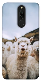 Чохол на Xiaomi Redmi 8 Лама фото 1 з 1