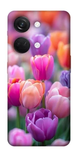 Чохол на OnePlus Nord 3 Тюльпанове поле фото 1 з 1