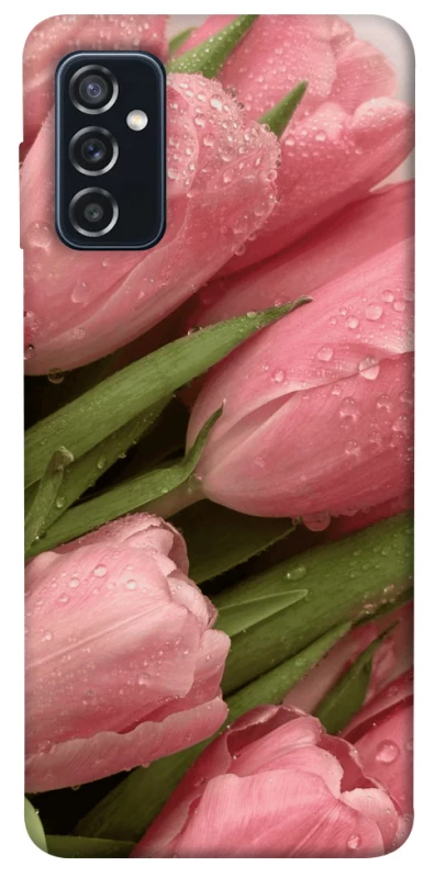 Чехол на Samsung Galaxy M52 Beauty фото 1 из 1