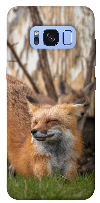 Чехол на Samsung G950 Galaxy S8 Лиса фото 1 из 1