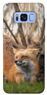 Чехол на Samsung G950 Galaxy S8 Лиса фото 1 из 1