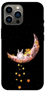 Чохол на Apple iPhone 13 Pro Max (6.7") Moon rabbit фото 1 з 1