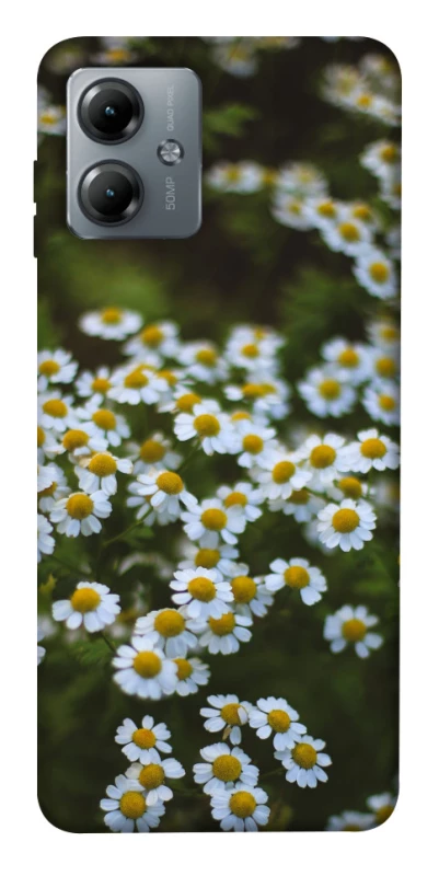 Чохол на Motorola Moto G14 Ромашки v13 фото 1 з 1