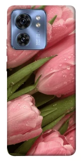 Чехол на Motorola Edge 40 Beauty фото 1 из 1