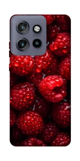 Чехол на Motorola Edge 50 Neo Малинка фото 1 из 1