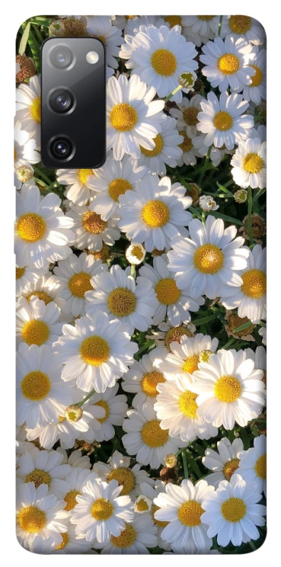 Чохол на Samsung Galaxy S20 FE Поле ромашок фото 1 з 1