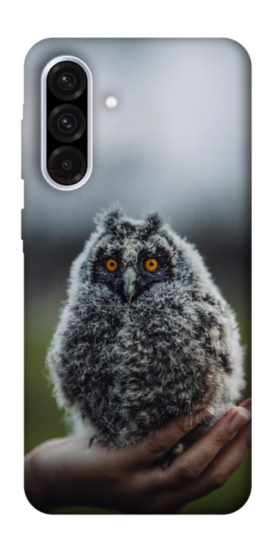 Чехол на Samsung Galaxy A36 5G Совёнок фото 1 из 1