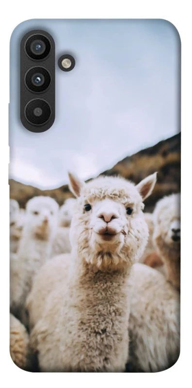 Чохол на Samsung Galaxy A34 5G Лама фото 1 з 1