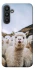 Чохол на Samsung Galaxy A34 5G Лама фото 1 з 1