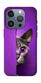 Чохол на Apple iPhone 16 Pro Кіт-підглядач фото 1 з 1