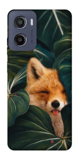 Чехол на Motorola Moto E15 Fox фото 1 из 1