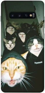 Чехол на Samsung Galaxy S10+ Сatsss фото 1 из 1