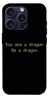 Чехол на Apple iPhone 15 Pro (6.1") House of the Dragon ver.9 фото 1 из 1