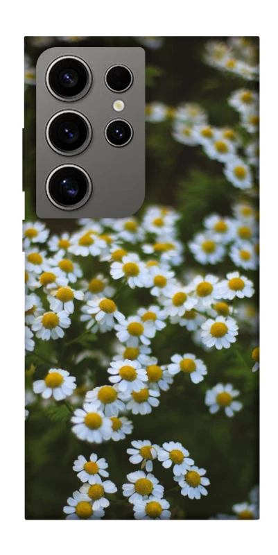 Чохол на Samsung Galaxy S24 Ultra Ромашки v13 фото 1 з 1