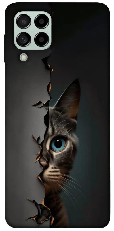Чехол на Samsung Galaxy M53 5G Кот-подглядыватель v2 фото 1 из 1
