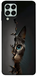 Чехол на Samsung Galaxy M53 5G Кот-подглядыватель v2 фото 1 из 1