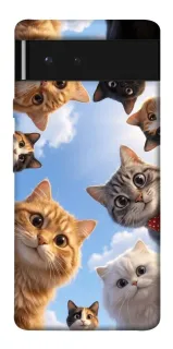 Чехол на Google Pixel 6 Cats фото 1 из 1