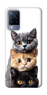 Чохол на Vivo V21 Гарні котики фото 1 з 1