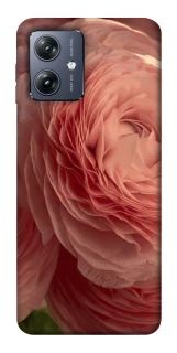 Чохол на Motorola Moto G54 Elegance фото 1 Чохол на Motorola Moto G54 Elegance фото 1 з 1