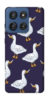 Чохол на Motorola Edge 60 Stylus Гуси з претензією фото 1 з 1