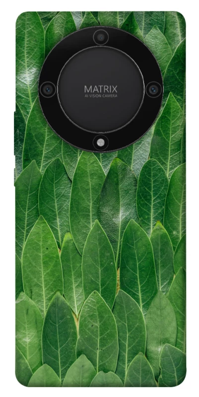 Чохол на Huawei Magic5 Lite Листя фото 1 з 1