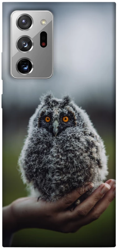 Чохол на Samsung Galaxy Note 20 Ultra Совеня фото 1 з 1