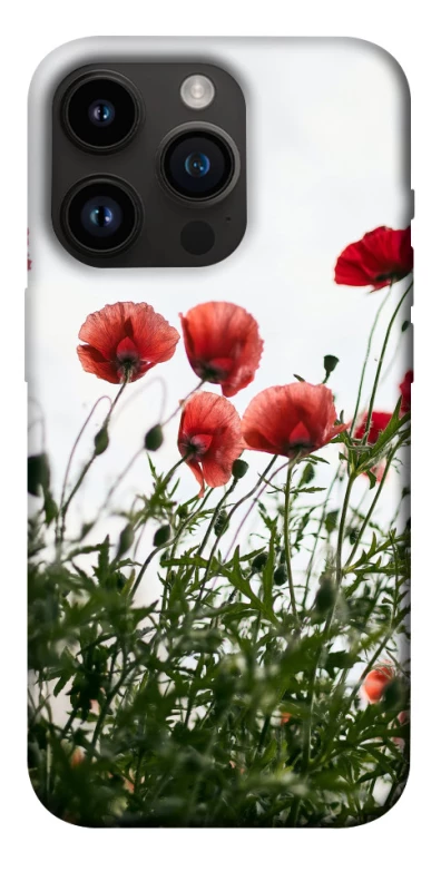 Чохол на Apple iPhone 14 Pro (6.1") Поле маків фото 1 з 1