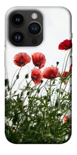 Чохол на Apple iPhone 14 Pro (6.1") Поле маків фото 1 з 1