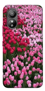 Чехол на ZTE Blade L220 Flowers v9 фото 1 из 1