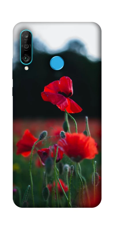 Чехол на Huawei P30 lite Мак фото 1 из 1