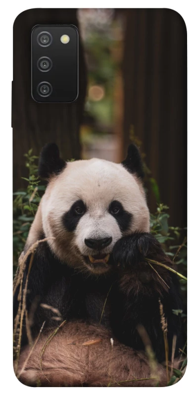 Чехол на Samsung Galaxy A03s Панда фото 1 из 1