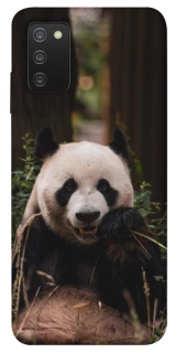 Чехол на Samsung Galaxy A03s Панда фото 1 из 1