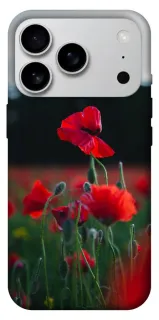 Чохол на Apple iPhone 18 Pro Max Мак фото 1 з 2