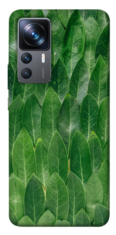 Чохол на Xiaomi 12T / 12T Pro Листя фото 1 з 1