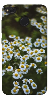 Чехол на Xiaomi Redmi 4X Ромашки v13 фото 1 из 1