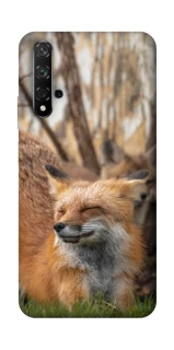 Чехол на Huawei Honor 20 / Nova 5T Лиса фото 1 из 1
