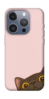 Чохол на Apple iPhone 16 Pro Peeping cat фото 1 з 1