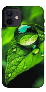 Чехол на Apple iPhone 12 mini (5.4") Flowers v16 фото 1 из 1