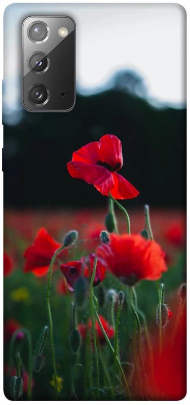 Чехол на Samsung Galaxy Note 20 Мак фото 1 из 1