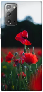 Чехол на Samsung Galaxy Note 20 Мак фото 1 из 1