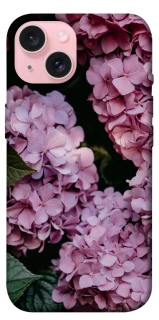 Чохол на Apple iPhone 15 (6.1") Рожеві гартензії фото 1 з 1